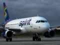 Американский лоукостер Spirit Airlines подает вино в банках