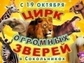 Временный цирк больших животных открылся в Москве